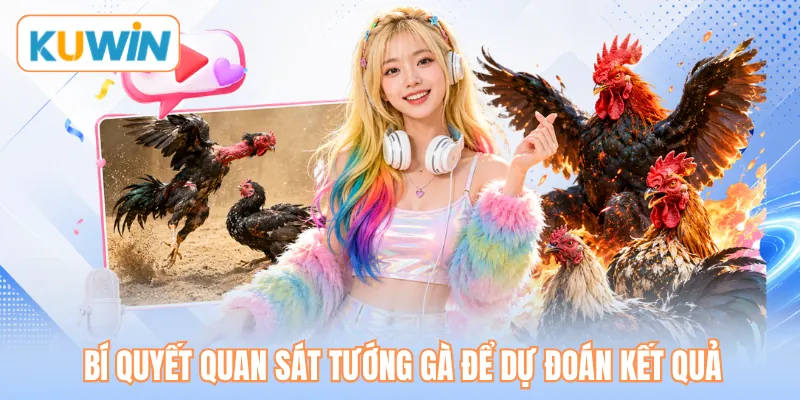 Bí quyết quan sát tướng gà để dự đoán kết quả