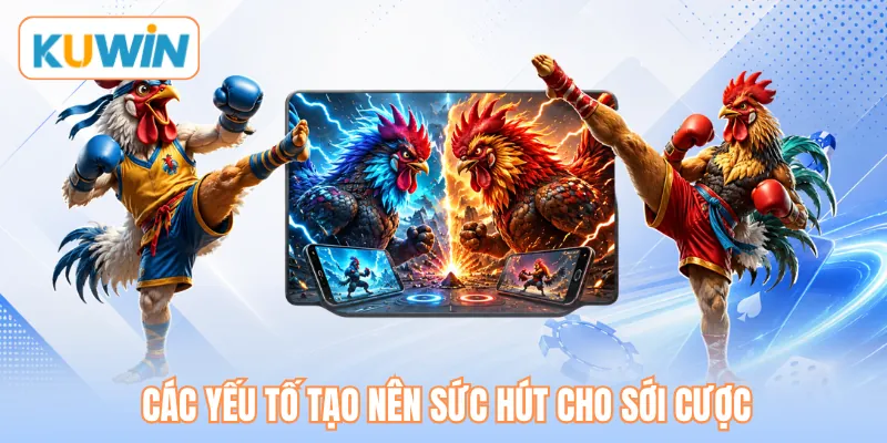 Các yếu tố tạo nên sức hút cho sới cược