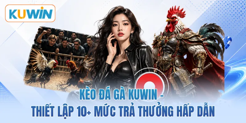 Kèo Đá Gà KUWIN - Thiết Lập 10+ Mức Trả Thưởng Hấp Dẫn