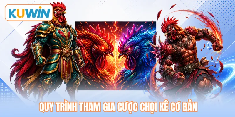 Quy trình tham gia cược chọi kê cơ bản