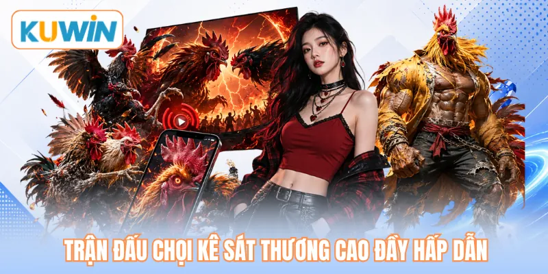 Trận đấu chọi kê sát thương cao đầy hấp dẫn